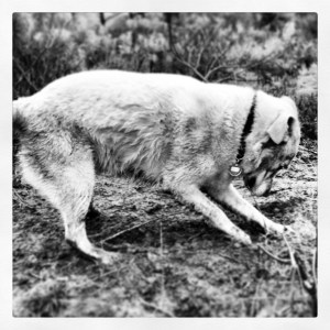 digging yourself out of a hole