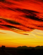 The Garden Route South Africa, Trudy Meehan