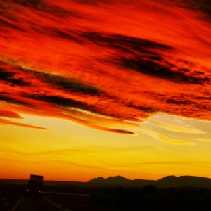 The Garden Route South Africa, Trudy Meehan