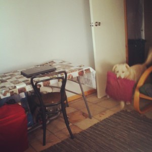 Ed helping me tidy up