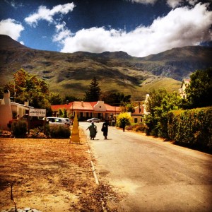 Greyton by Trudy Meehan